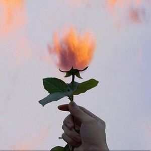 Meet your Posher, Joanna